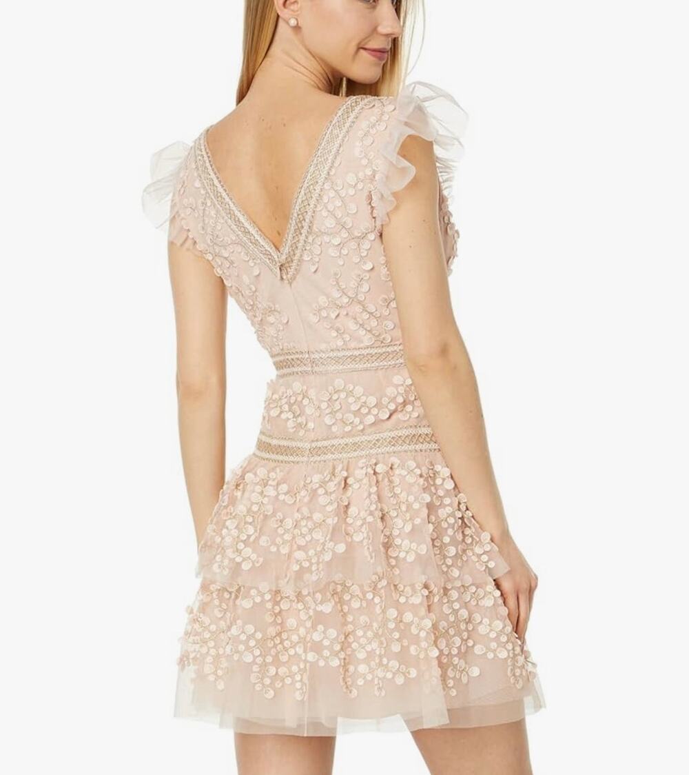 BCBG Cap Sleeve Short Evening Dress Bare Pink Size 8 NWOT Embroidered Details